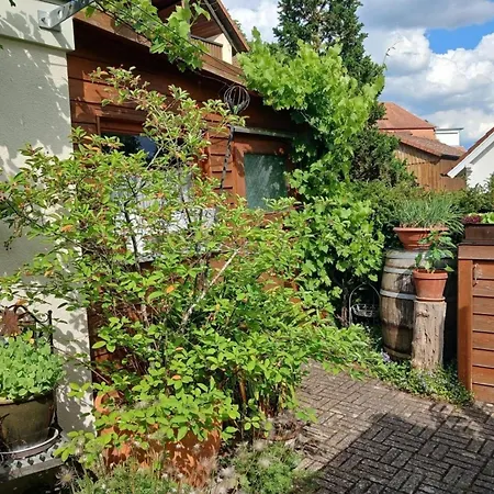 Fewo-sonnenwald Apartmán Gunzenhausen