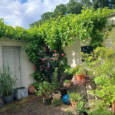 Apartmán Fewo-sonnenwald *